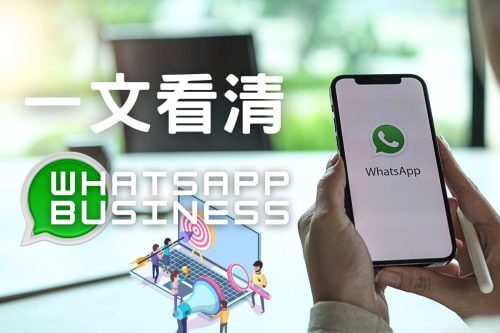 一文看清Whatsapp Business